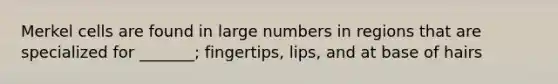 Merkel cells are found in large numbers in regions that are specialized for _______; fingertips, lips, and at base of hairs