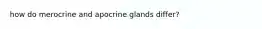 how do merocrine and apocrine glands differ?