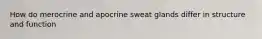 How do merocrine and apocrine sweat glands differ in structure and function