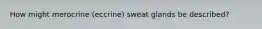 How might merocrine (eccrine) sweat glands be described?