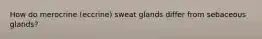 How do merocrine (eccrine) sweat glands differ from sebaceous glands?