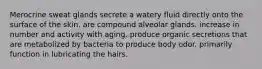 Merocrine sweat glands secrete a watery fluid directly onto the surface of the skin. are compound alveolar glands. increase in number and activity with aging. produce organic secretions that are metabolized by bacteria to produce body odor. primarily function in lubricating the hairs.