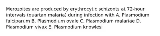 Merozoites are produced by erythrocytic schizonts at 72-hour intervals (quartan malaria) during infection with A. Plasmodium falciparum B. Plasmodium ovale C. Plasmodium malariae D. Plasmodium vivax E. Plasmodium knowlesi