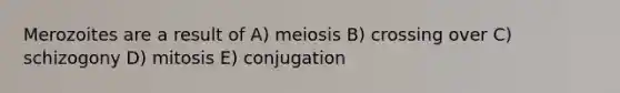 Merozoites are a result of A) meiosis B) crossing over C) schizogony D) mitosis E) conjugation