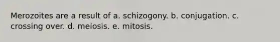 Merozoites are a result of a. schizogony. b. conjugation. c. crossing over. d. meiosis. e. mitosis.