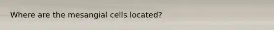 Where are the mesangial cells located?