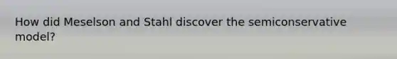 How did Meselson and Stahl discover the semiconservative model?