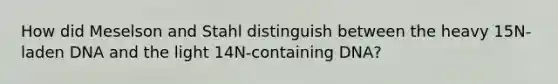 How did Meselson and Stahl distinguish between the heavy 15N-laden DNA and the light 14N-containing DNA?