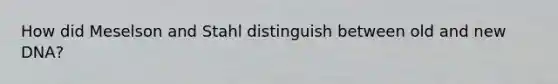How did Meselson and Stahl distinguish between old and new DNA?