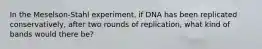 In the Meselson-Stahl experiment, if DNA has been replicated conservatively, after two rounds of replication, what kind of bands would there be?