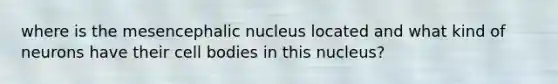 where is the mesencephalic nucleus located and what kind of neurons have their cell bodies in this nucleus?