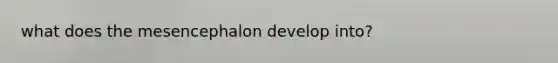 what does the mesencephalon develop into?