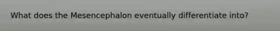 What does the Mesencephalon eventually differentiate into?