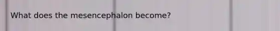 What does the mesencephalon become?