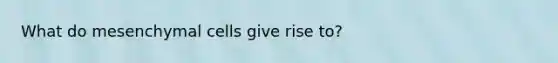 What do mesenchymal cells give rise to?