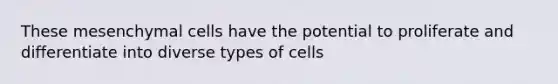 These mesenchymal cells have the potential to proliferate and differentiate into diverse types of cells