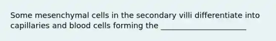 Some mesenchymal cells in the secondary villi differentiate into capillaries and blood cells forming the ______________________