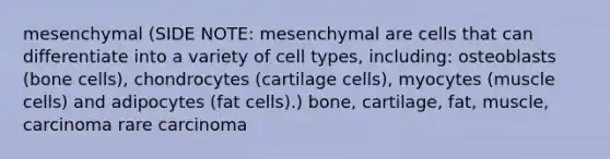 mesenchymal (SIDE NOTE: mesenchymal are cells that can differentiate into a variety of cell types, including: osteoblasts (bone cells), chondrocytes (cartilage cells), myocytes (muscle cells) and adipocytes (fat cells).) bone, cartilage, fat, muscle, carcinoma rare carcinoma