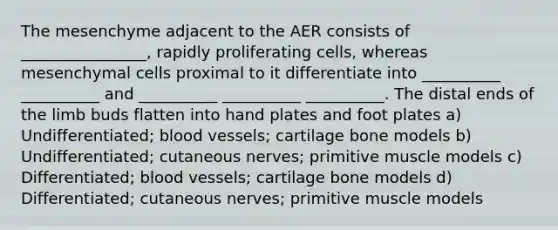 The mesenchyme adjacent to the AER consists of ________________, rapidly proliferating cells, whereas mesenchymal cells proximal to it differentiate into __________ __________ and __________ __________ __________. The distal ends of the limb buds flatten into hand plates and foot plates a) Undifferentiated; blood vessels; cartilage bone models b) Undifferentiated; cutaneous nerves; primitive muscle models c) Differentiated; blood vessels; cartilage bone models d) Differentiated; cutaneous nerves; primitive muscle models