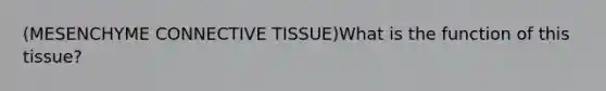 (MESENCHYME <a href='https://www.questionai.com/knowledge/kYDr0DHyc8-connective-tissue' class='anchor-knowledge'>connective tissue</a>)What is the function of this tissue?