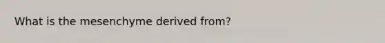 What is the mesenchyme derived from?