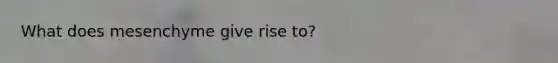 What does mesenchyme give rise to?