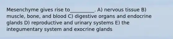 Mesenchyme gives rise to__________. A) nervous tissue B) muscle, bone, and blood C) digestive organs and endocrine glands D) reproductive and urinary systems E) the integumentary system and exocrine glands