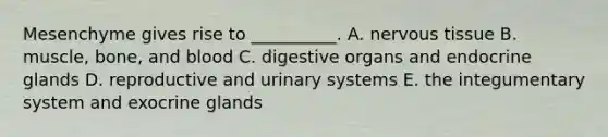 Mesenchyme gives rise to __________. A. <a href='https://www.questionai.com/knowledge/kqA5Ws88nP-nervous-tissue' class='anchor-knowledge'>nervous tissue</a> B. muscle, bone, and blood C. digestive organs and endocrine glands D. reproductive and urinary systems E. the integumentary system and exocrine glands