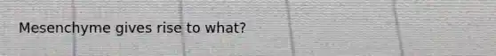 Mesenchyme gives rise to what?