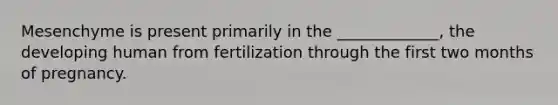 Mesenchyme is present primarily in the _____________, the developing human from fertilization through the first two months of pregnancy.