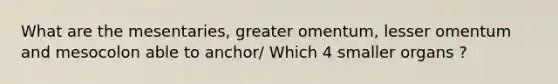 What are the mesentaries, greater omentum, lesser omentum and mesocolon able to anchor/ Which 4 smaller organs ?