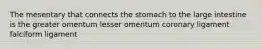 The mesentary that connects the stomach to the large intestine is the greater omentum lesser omentum coronary ligament falciform ligament