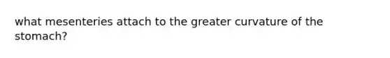 what mesenteries attach to the greater curvature of <a href='https://www.questionai.com/knowledge/kLccSGjkt8-the-stomach' class='anchor-knowledge'>the stomach</a>?