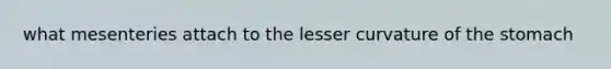 what mesenteries attach to the lesser curvature of the stomach