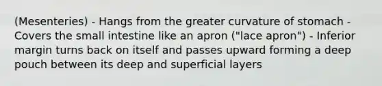 (Mesenteries) - Hangs from the greater curvature of stomach - Covers the small intestine like an apron ("lace apron") - Inferior margin turns back on itself and passes upward forming a deep pouch between its deep and superficial layers