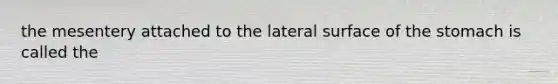 the mesentery attached to the lateral surface of the stomach is called the