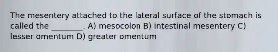 The mesentery attached to the lateral surface of <a href='https://www.questionai.com/knowledge/kLccSGjkt8-the-stomach' class='anchor-knowledge'>the stomach</a> is called the ________. A) mesocolon B) intestinal mesentery C) lesser omentum D) greater omentum