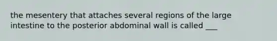 the mesentery that attaches several regions of the large intestine to the posterior abdominal wall is called ___