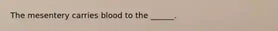 The mesentery carries blood to the ______.