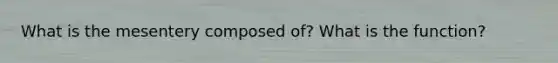 What is the mesentery composed of? What is the function?