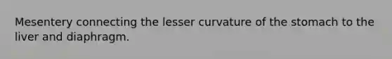 Mesentery connecting the lesser curvature of the stomach to the liver and diaphragm.