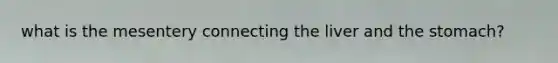 what is the mesentery connecting the liver and the stomach?