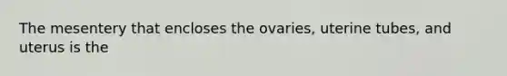 The mesentery that encloses the ovaries, uterine tubes, and uterus is the