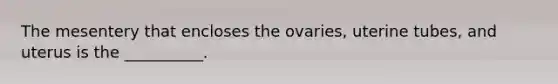 The mesentery that encloses the ovaries, uterine tubes, and uterus is the __________.