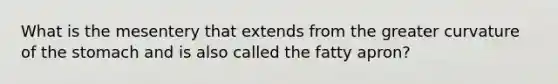 What is the mesentery that extends from the greater curvature of the stomach and is also called the fatty apron?