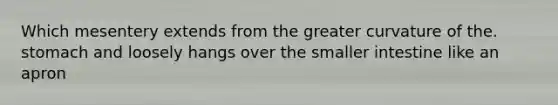 Which mesentery extends from the greater curvature of the. stomach and loosely hangs over the smaller intestine like an apron