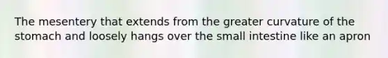 The mesentery that extends from the greater curvature of the stomach and loosely hangs over the small intestine like an apron