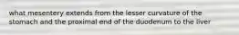 what mesentery extends from the lesser curvature of the stomach and the proximal end of the duodenum to the liver