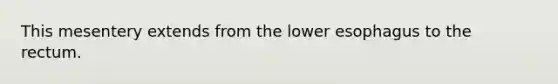 This mesentery extends from the lower esophagus to the rectum.