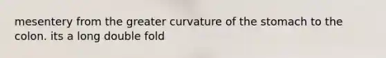 mesentery from the greater curvature of the stomach to the colon. its a long double fold